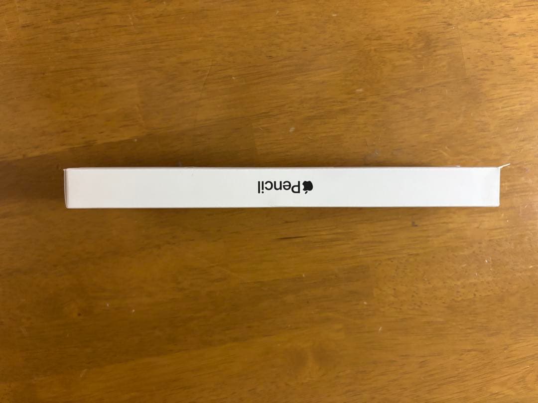 iPadアクセサリー Apple Pencil (usb-c)