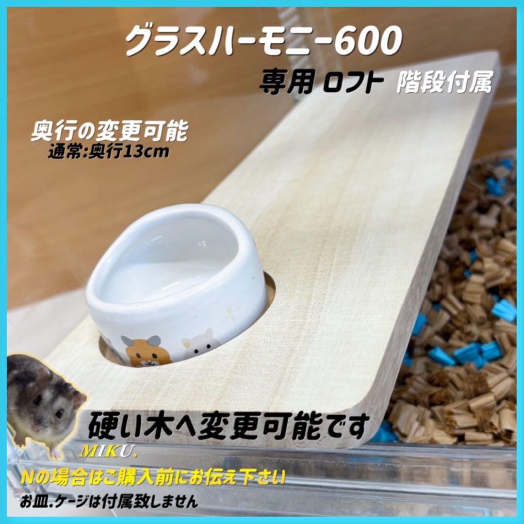 本田知嗣オーダーページ グラスハーモニー600専用ロフト 階段付属