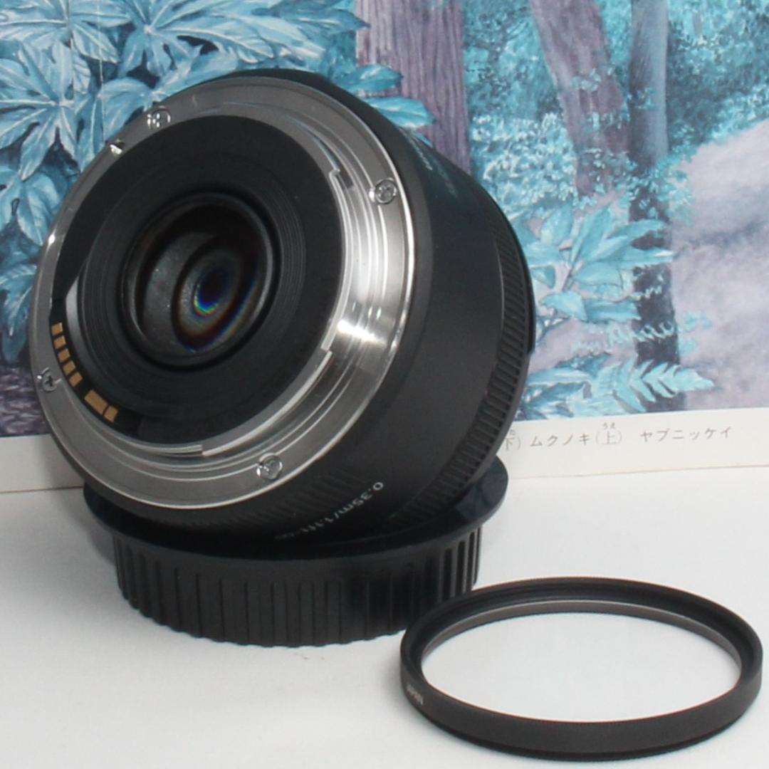 ☆キヤノン EF 50mm F1.8 STM☆単焦点レンズ☆