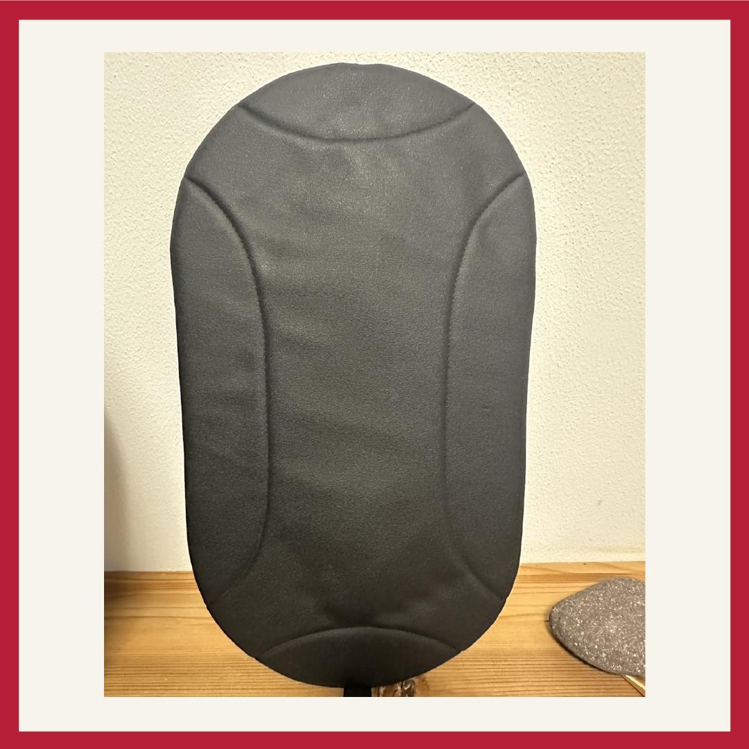 AirBuggy for Pet DOME 3 ペットカート(コット単品）