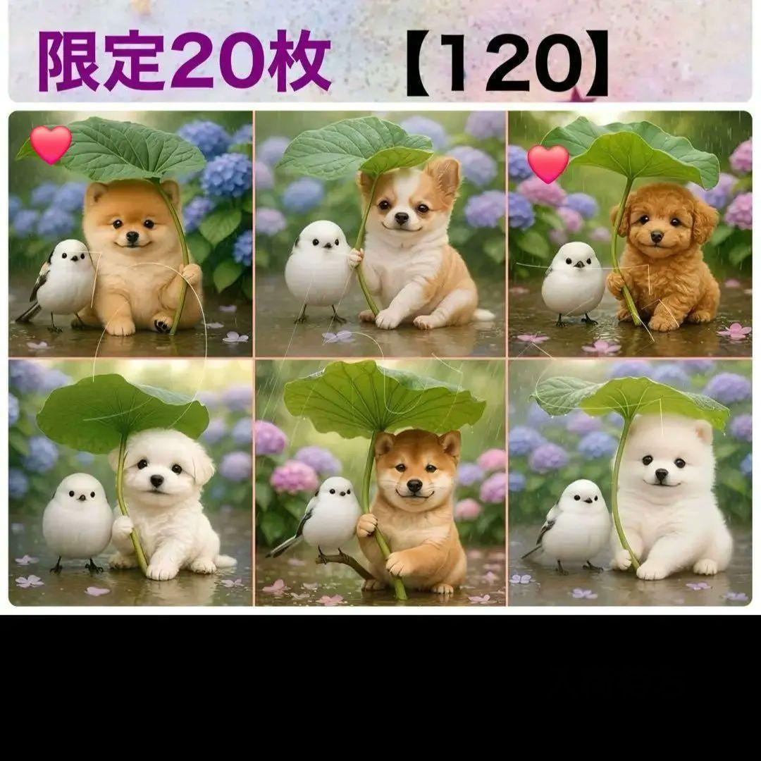 あんず