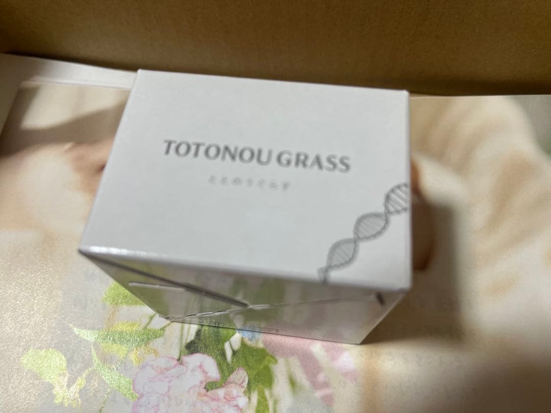 ととのうぐらす　 2個セット　即発送