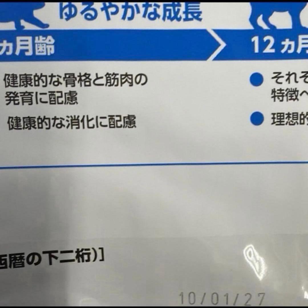 ロイヤルカナン 室内で生活する成猫用 インドア 4kg×3個