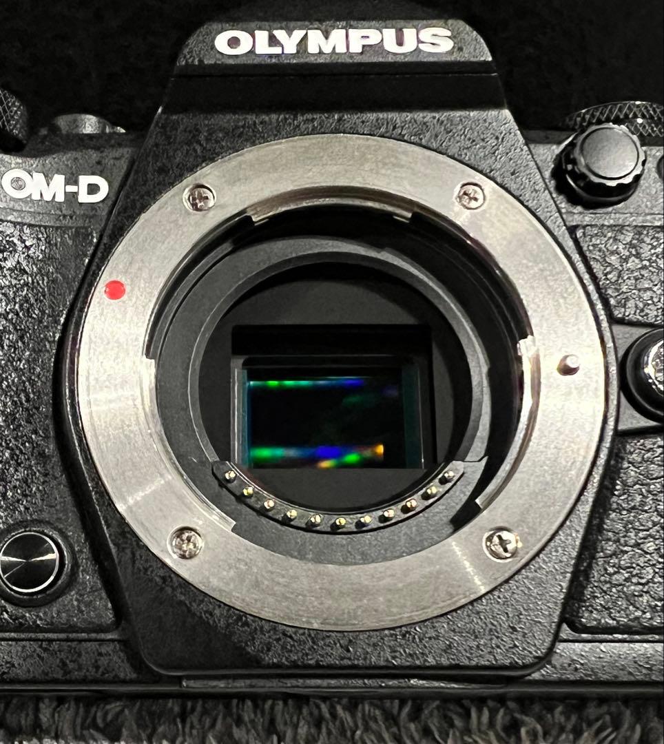 【極美品】OM-D E-M5 Mark II 14-150レンズキット