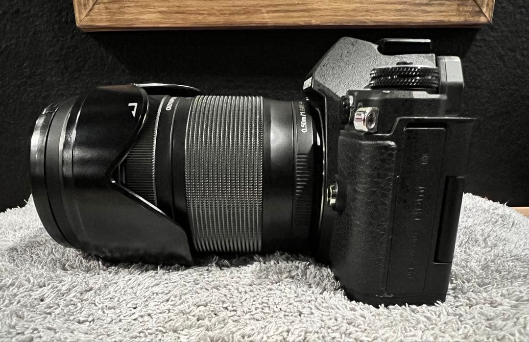 【極美品】OM-D E-M5 Mark II 14-150レンズキット