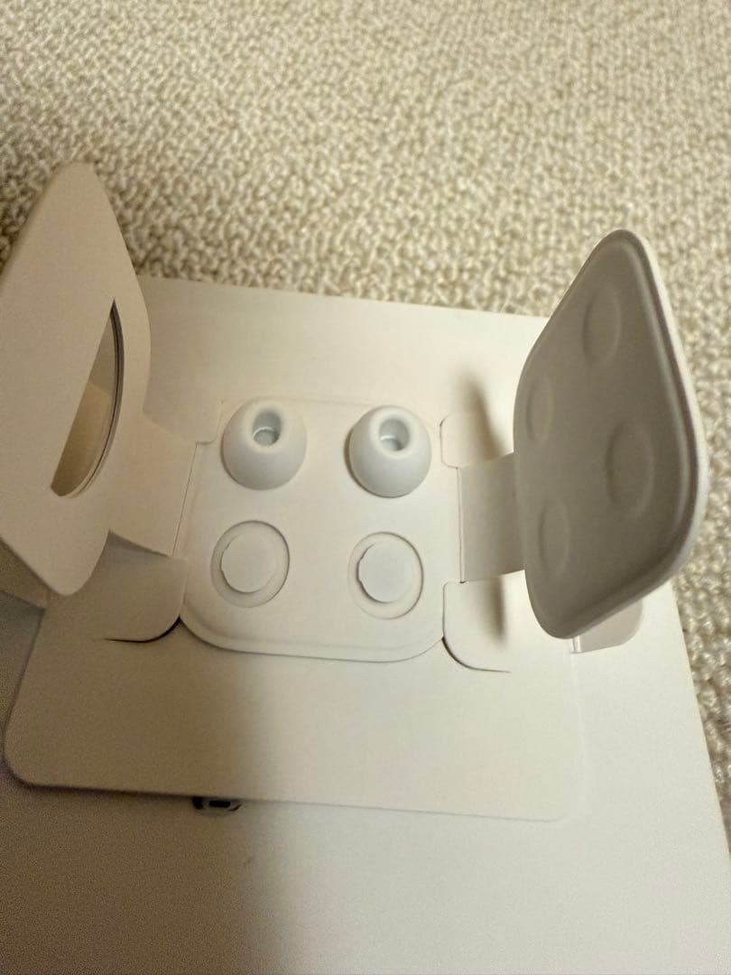 Apple AirPodsPro2 (USB-C)美品