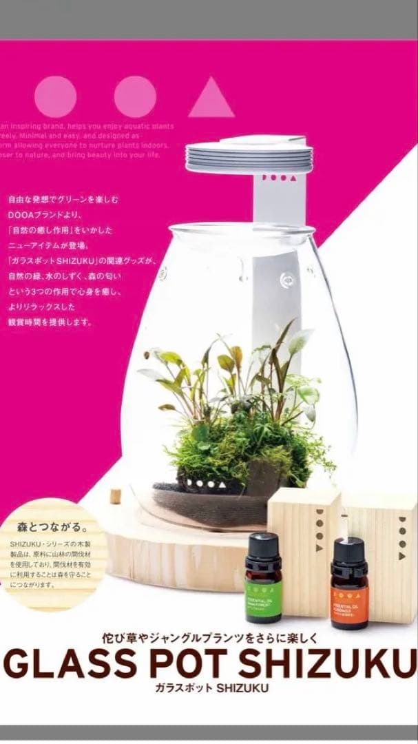パルダリウム アクアリウム ジャングルプランツ が直ぐに楽しめるDOOA セット