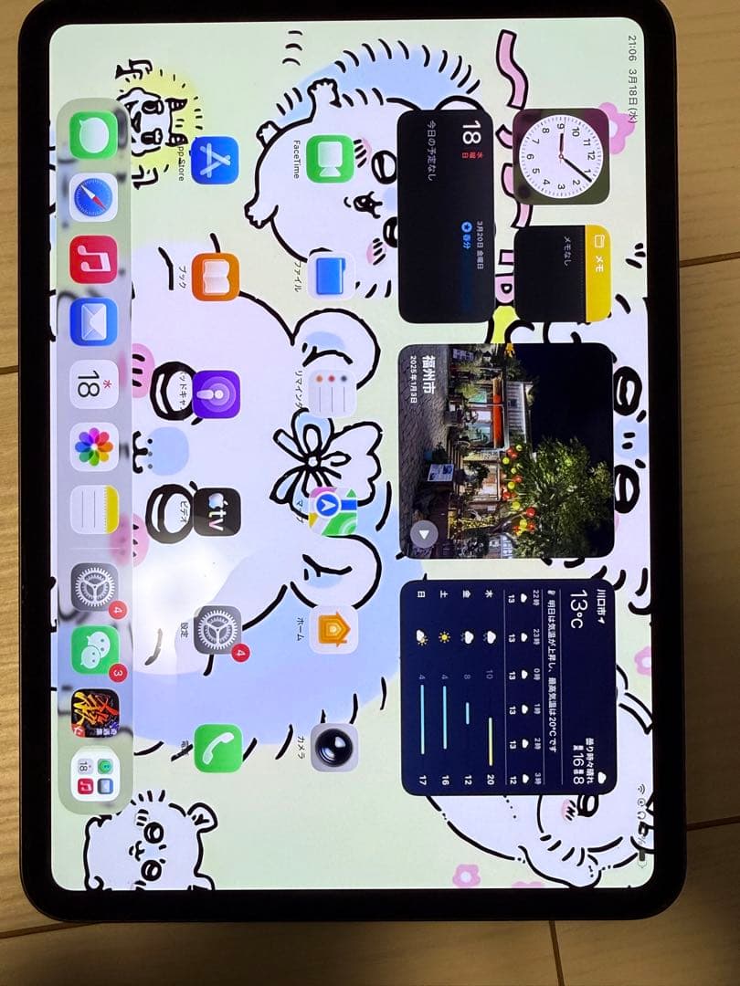 Apple iPad Pro m4 (11インチ)大容量512g