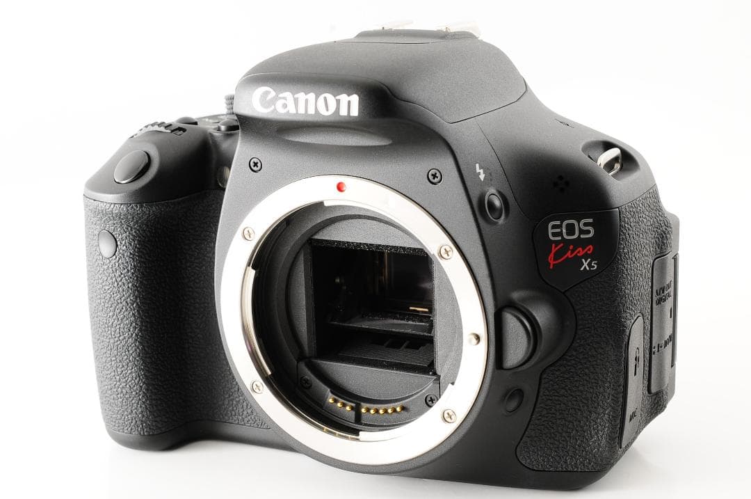 【美品 S数:448回】Canon EOS Kiss X5 ダブルズームキット
